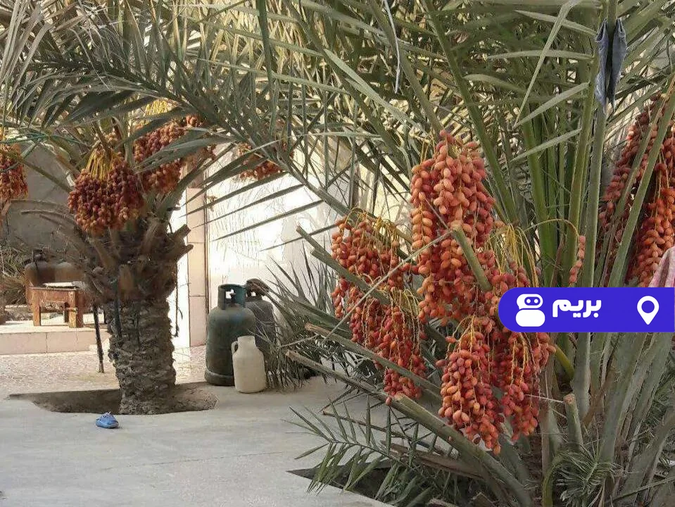 علیشاهی (25 متری) در قشم