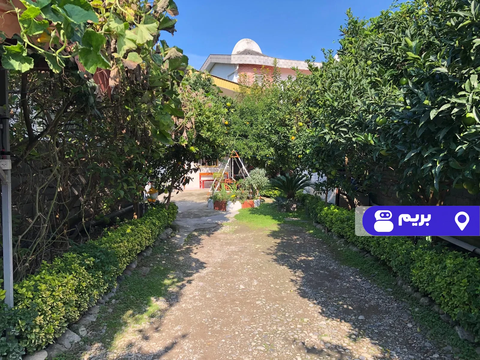 دریا(کد313) در چالوس