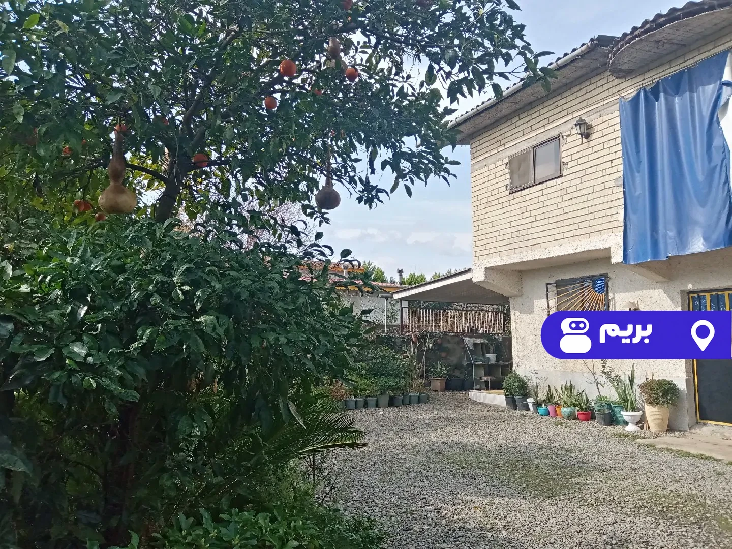 کوچه باغ در شهسوار