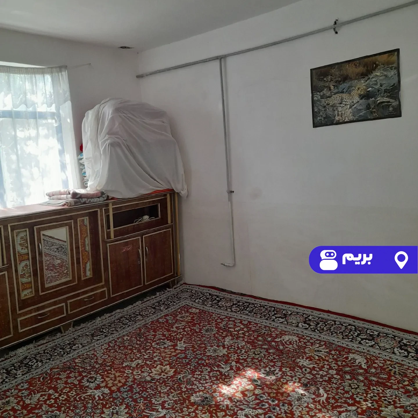گردو در گالیکش