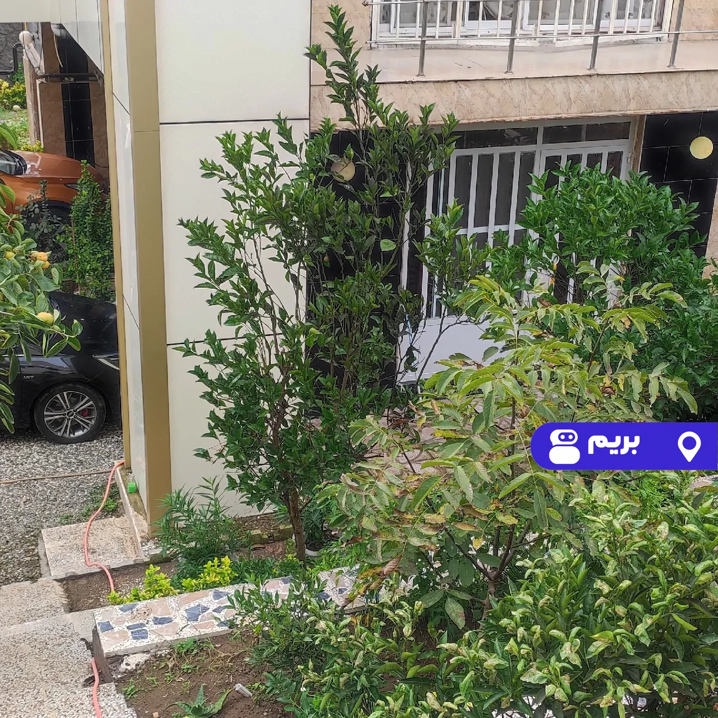 مانیلا در زیبا کنار