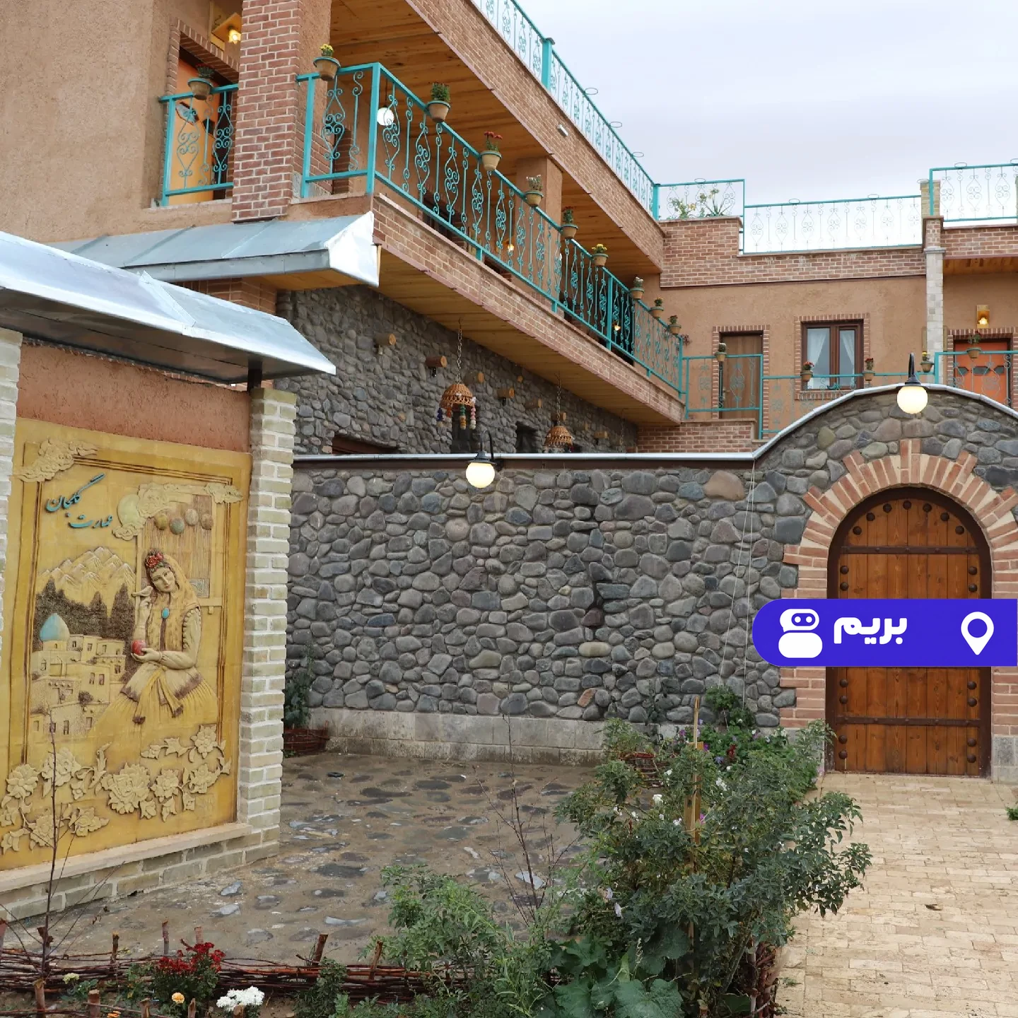 گلجان (بنفشه) در زنجان