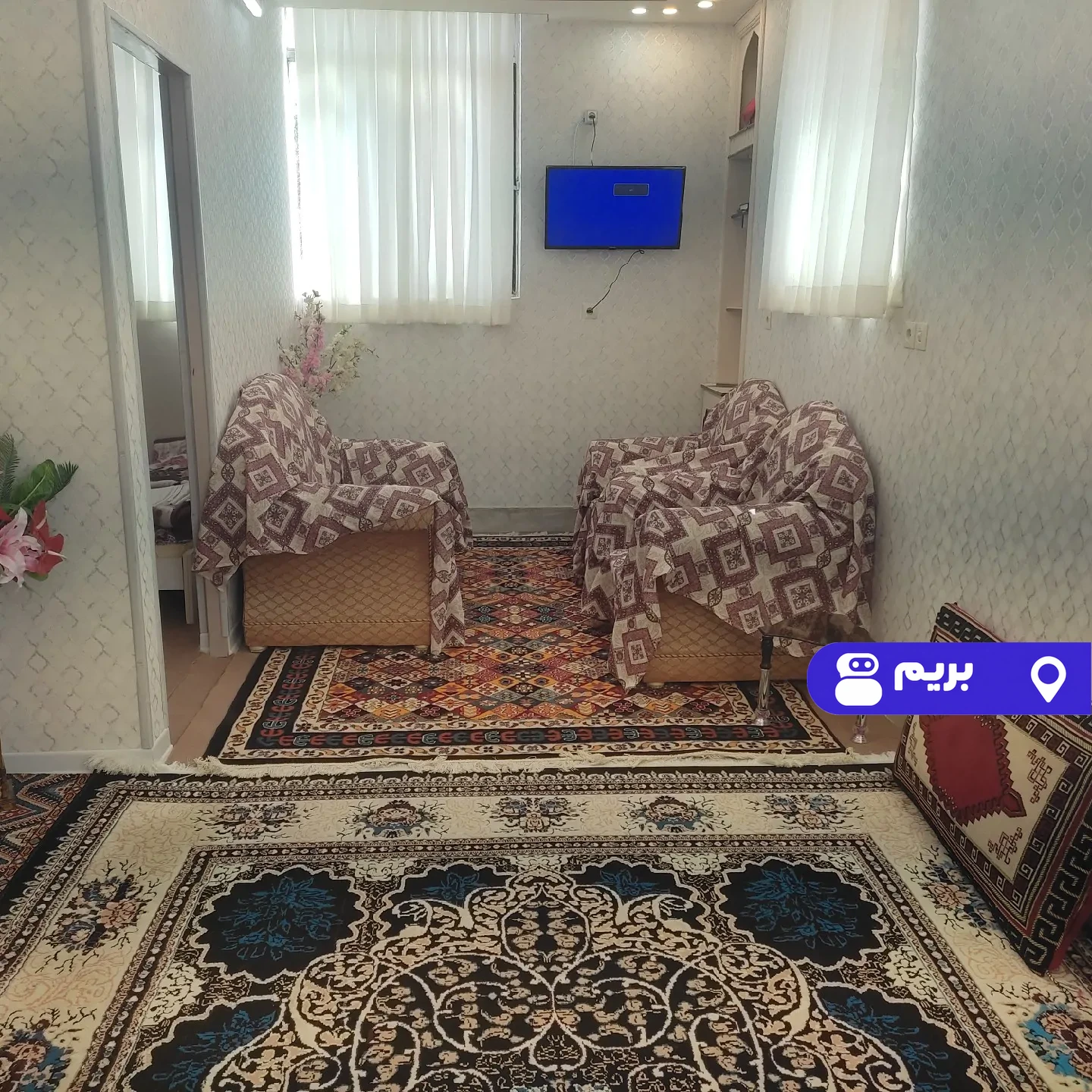 سبز در نائین