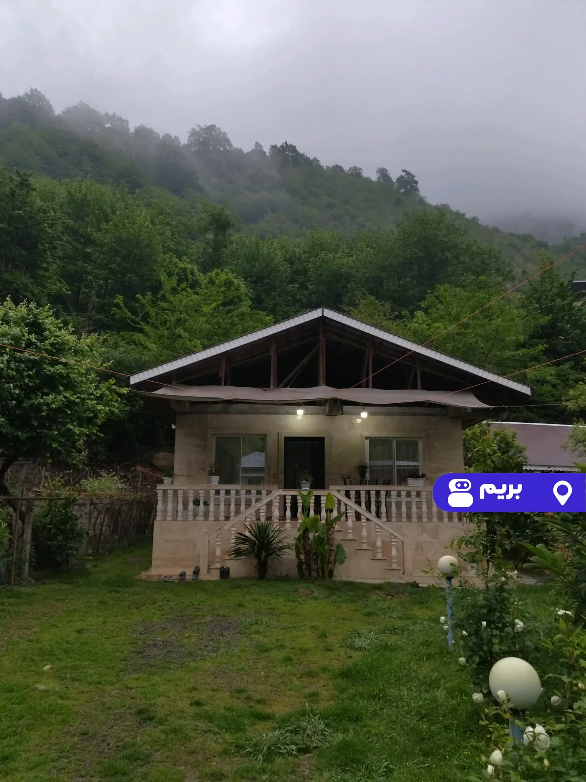 آفتابگردان در اولسبلنگاه