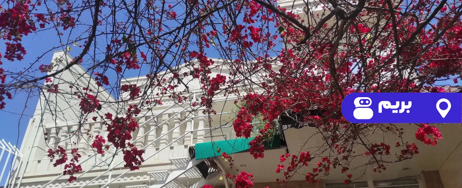 صفا در گنبد کاووس