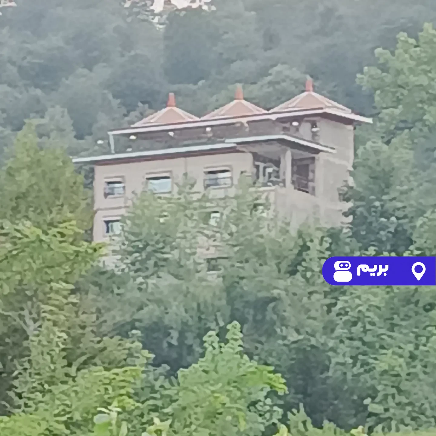 مبله جنگلی در شفت