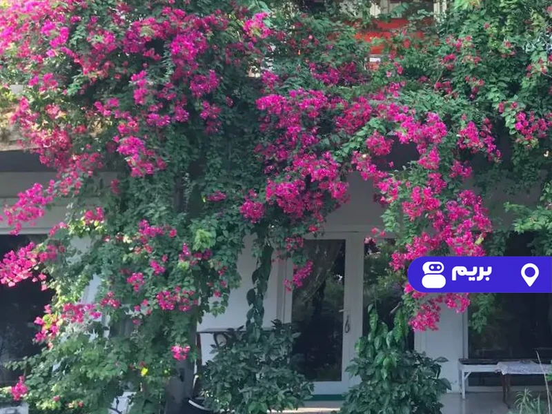 ویلا سرای دوست (واحد 1)