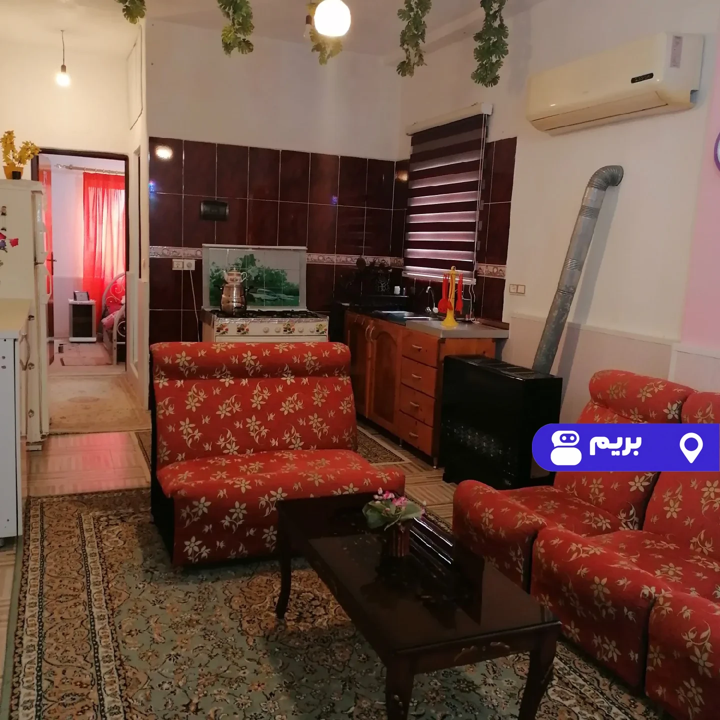 شقایق در رویان