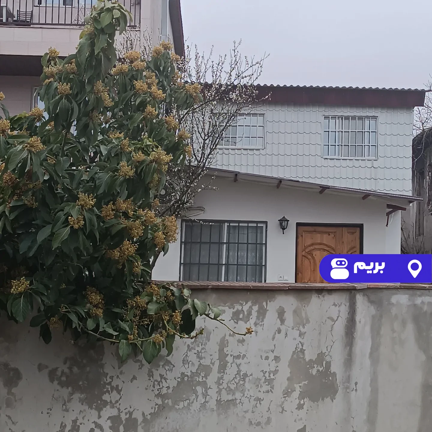 آواکادو در کلارآباد