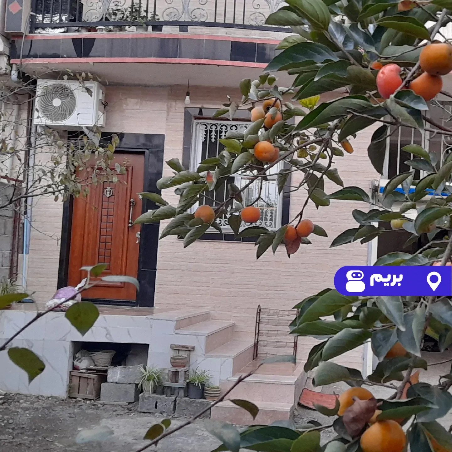 امیر در املش