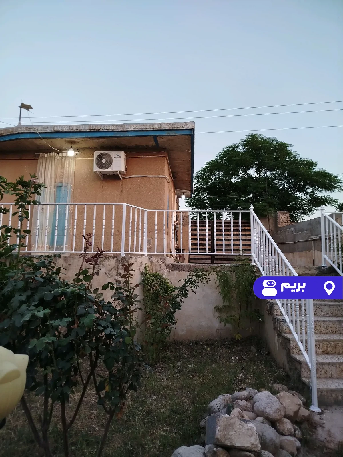 دلارام (ارکیده 2) در گالیکش