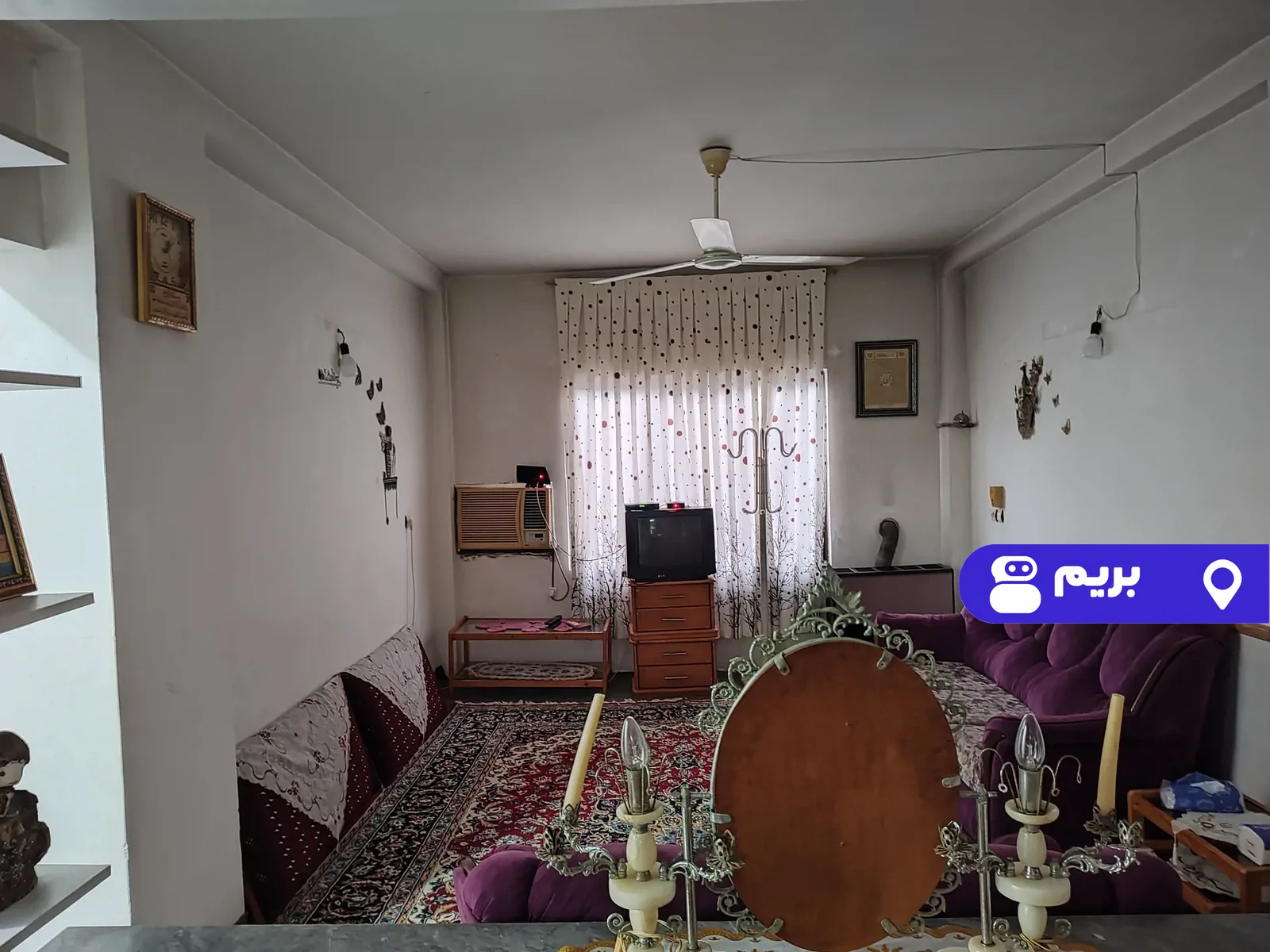 شورکی در بابلسر
