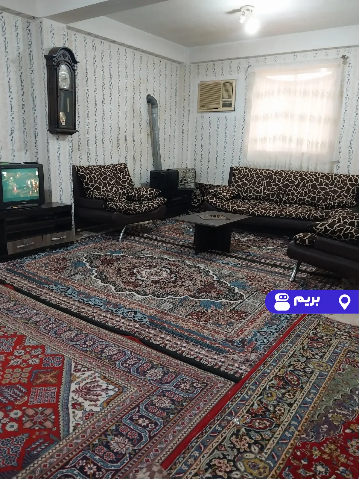 گل یخ در شفت