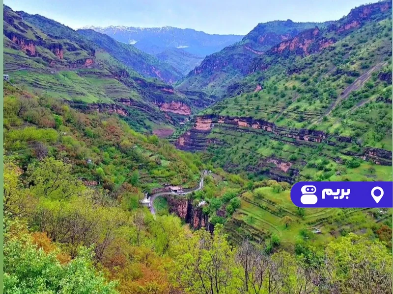 خانه مبله نادری