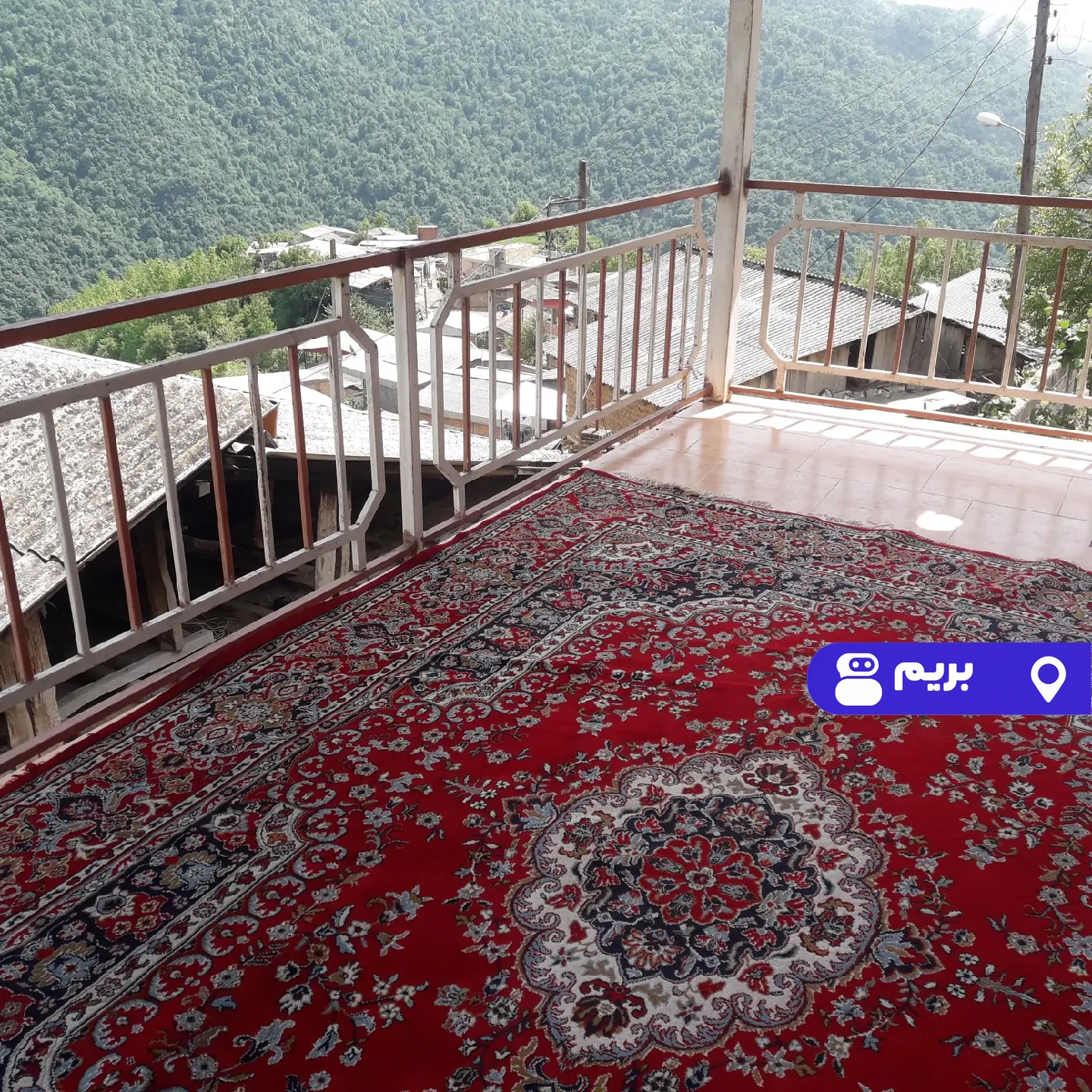 ریحون در علی آباد کتول