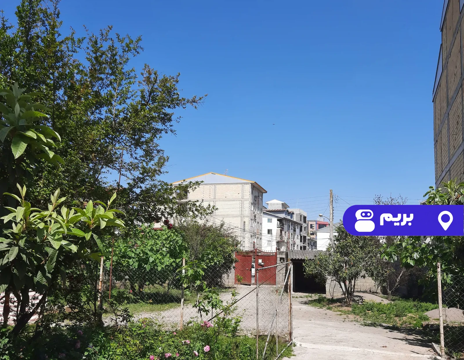 حمید در رضوانشهر