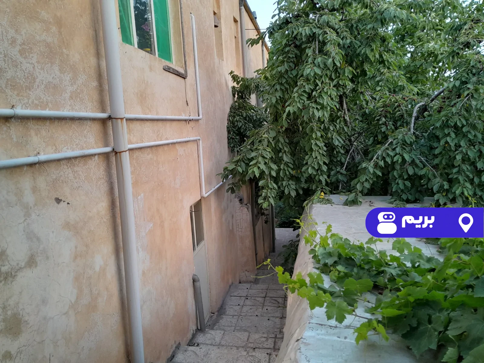 رجبی در معلم کلایه