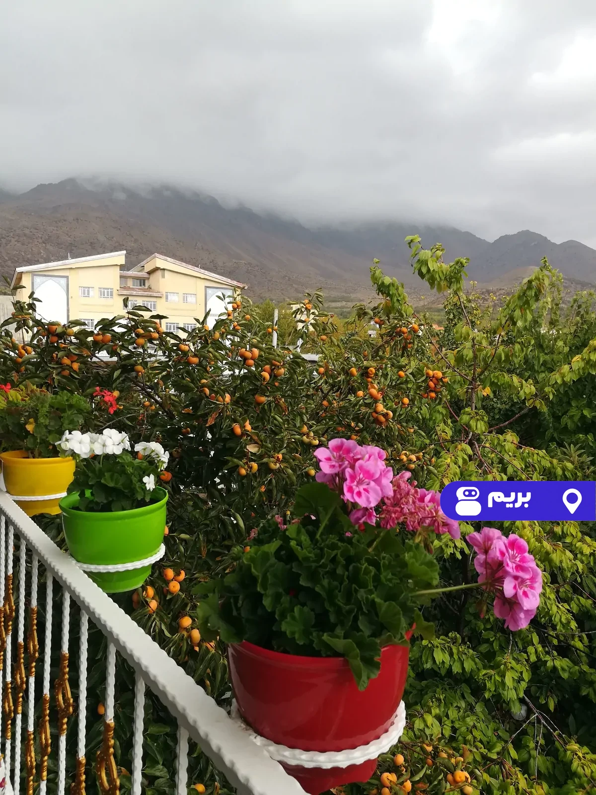 شایان در دنا