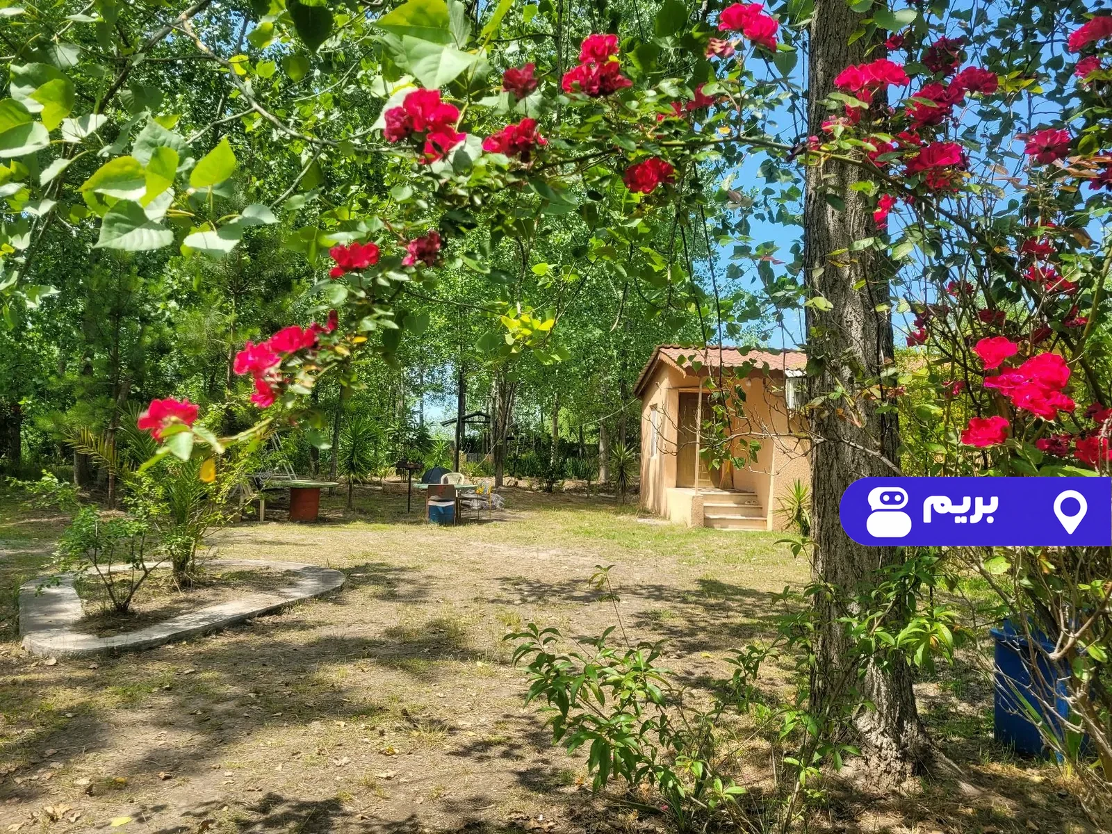 آنیا در زیبا کنار
