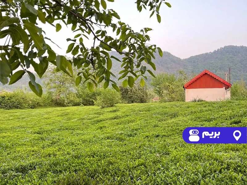 ویلا وسط باغ چای