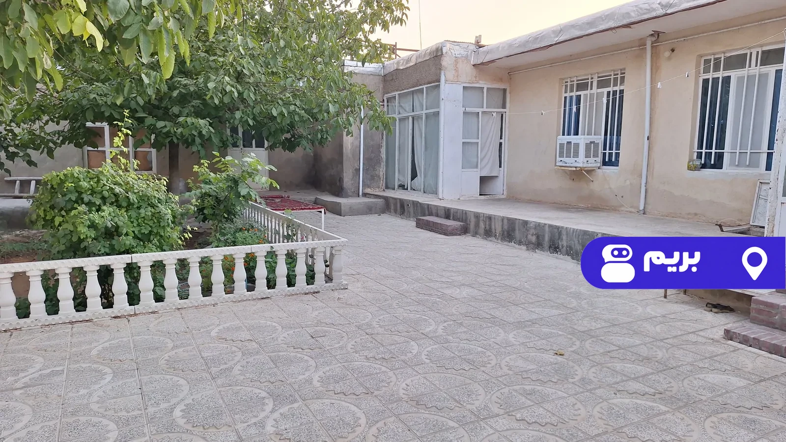 شقایق غار علیصدر در علی صدر