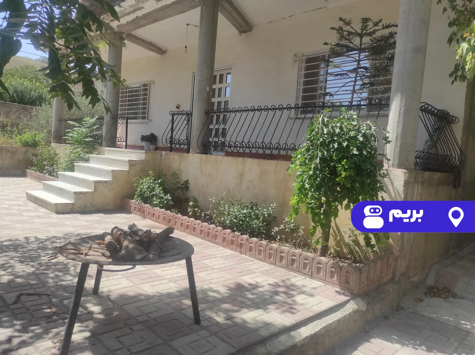 گندم در مینودشت