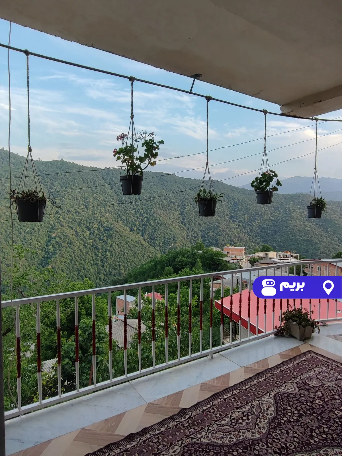 شاه پسند در علی آباد کتول