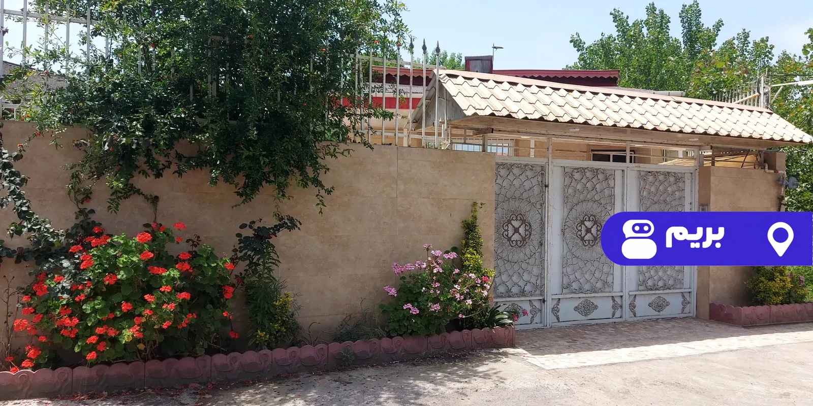 سبز در لنگرود