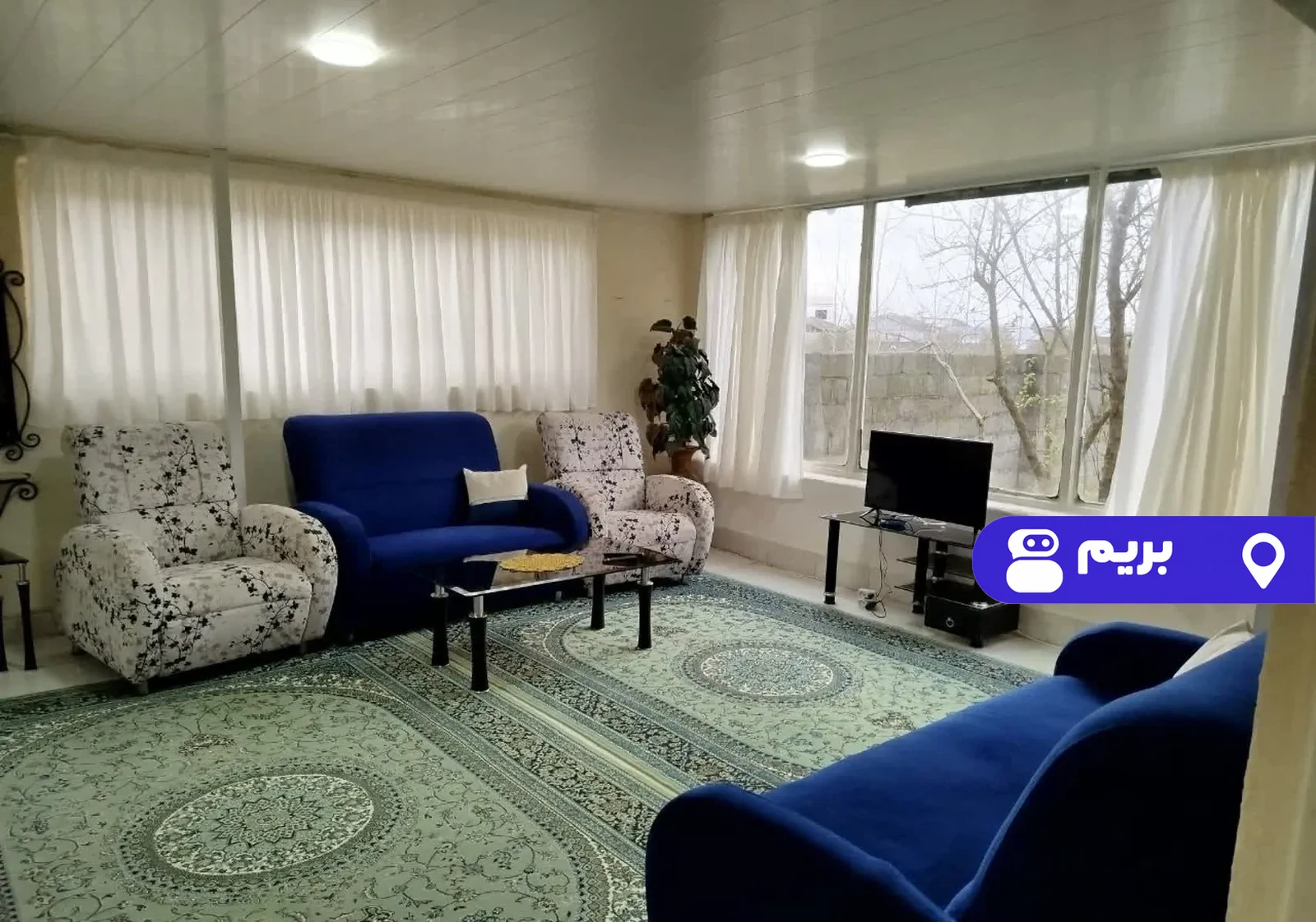 چیچیلاس در انزلی