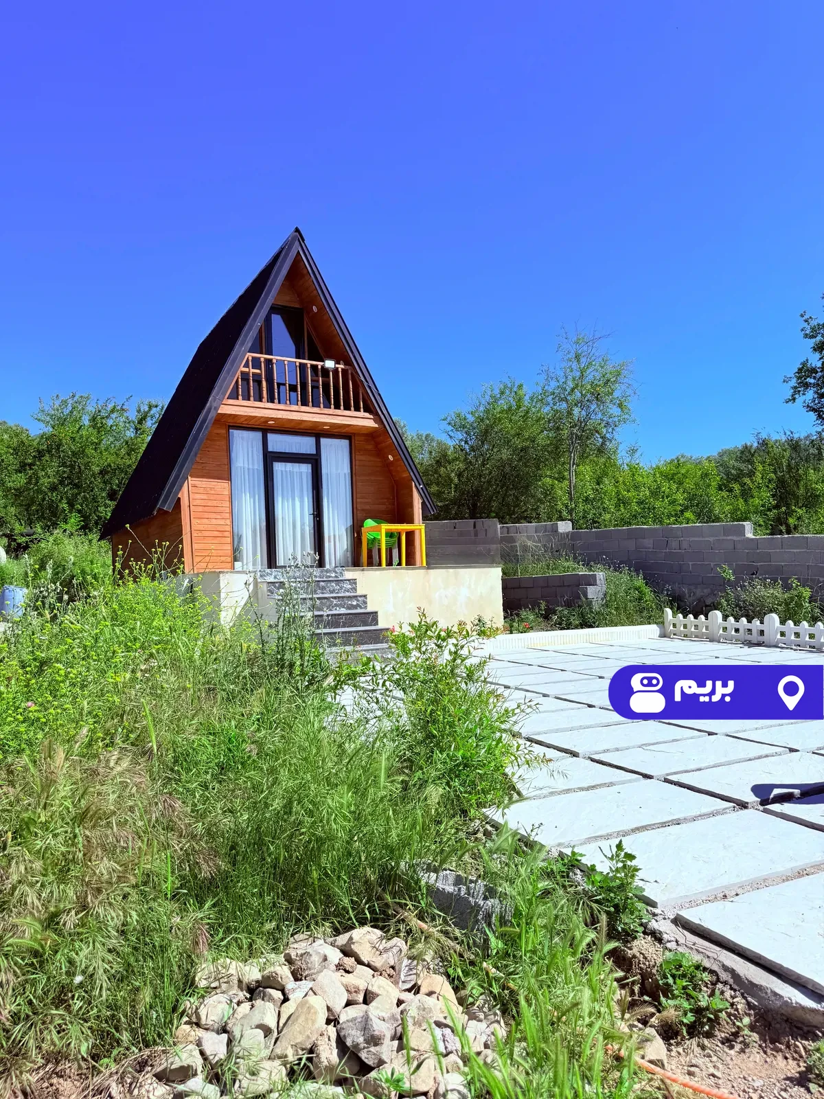 زیتون در رستم آباد