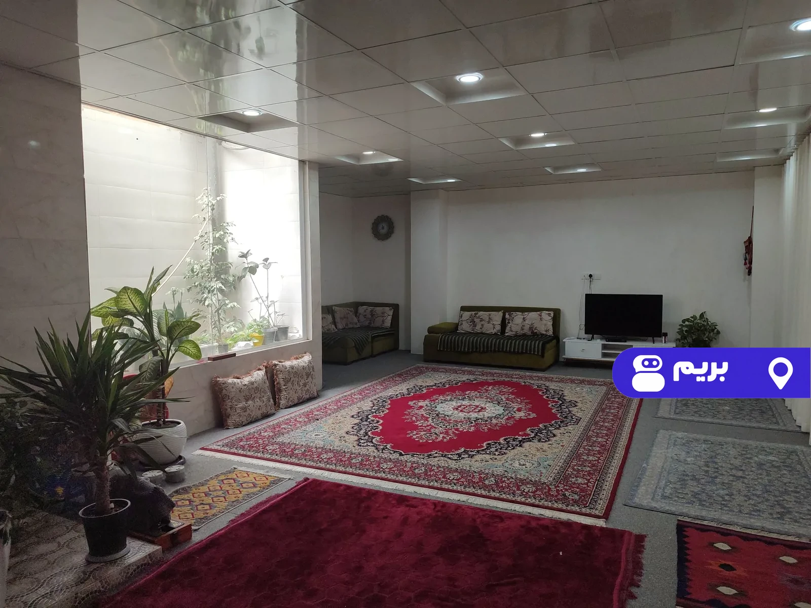 البرز در گناوه