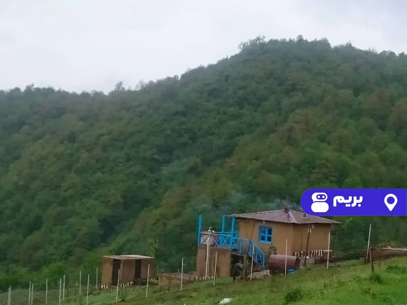 کلبه چوبی بهشت