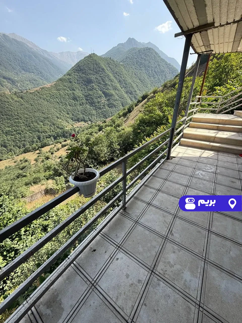 جنگلی کیمیا در دوهزارشهسوار