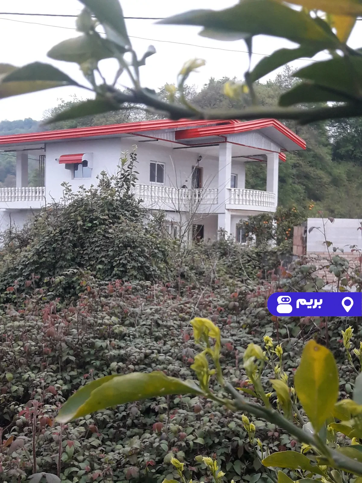 دوبلکس جنگلی پارسا در بابل کنار