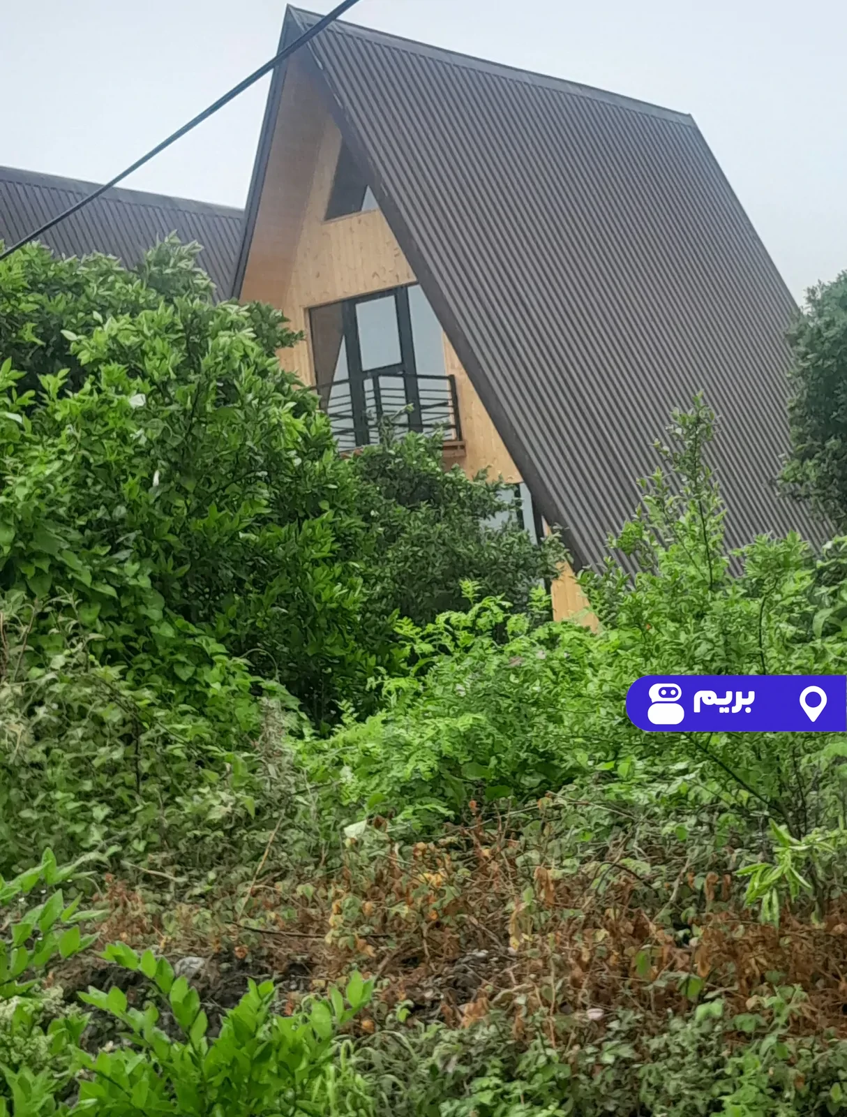 سوئیسی مروارید در چابکسر