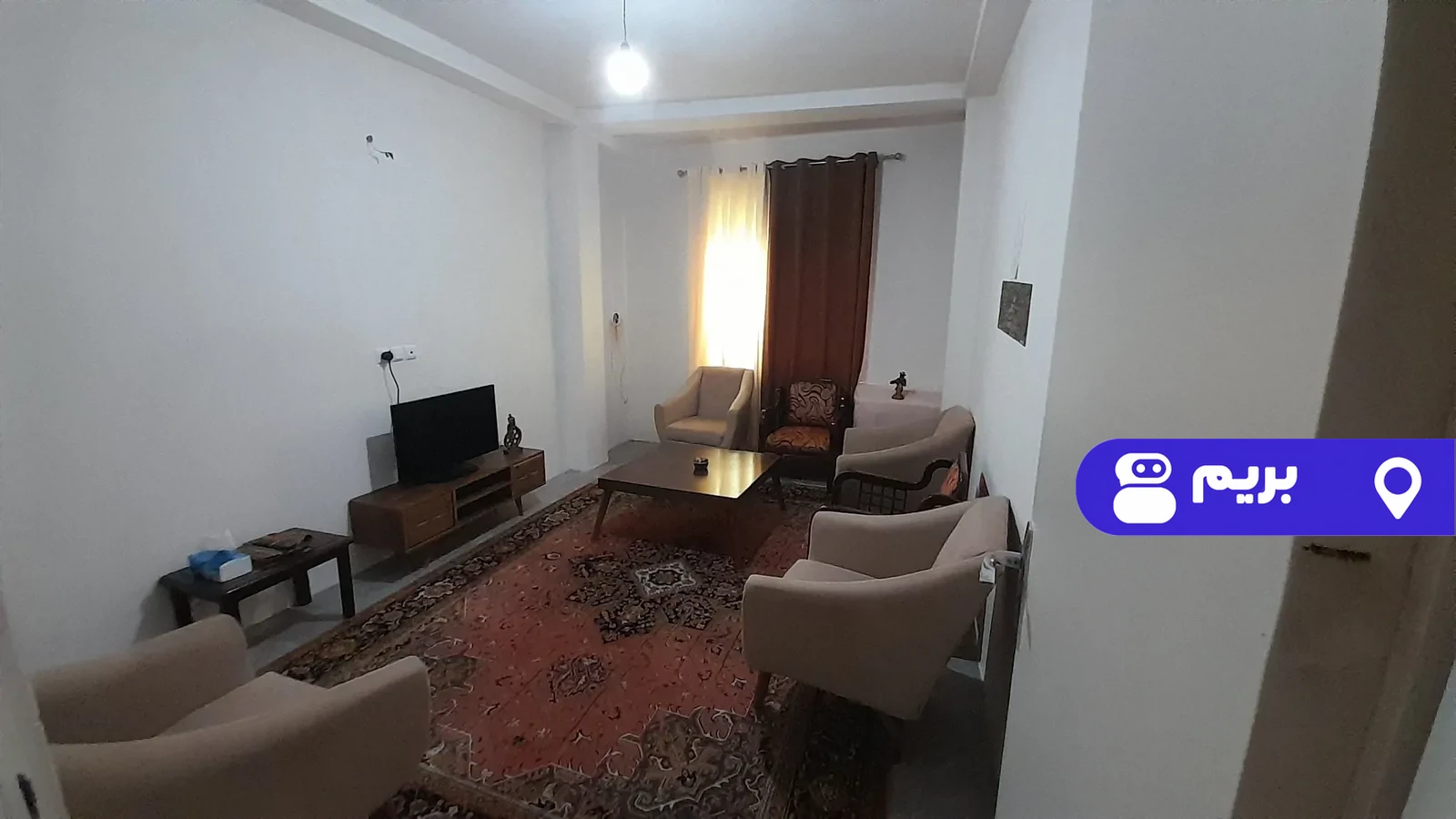 جنگلی ایلیانا در شهسوار