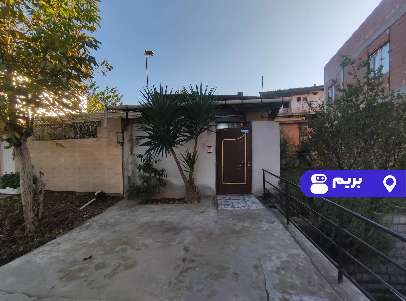 یوکا در قائمشهر