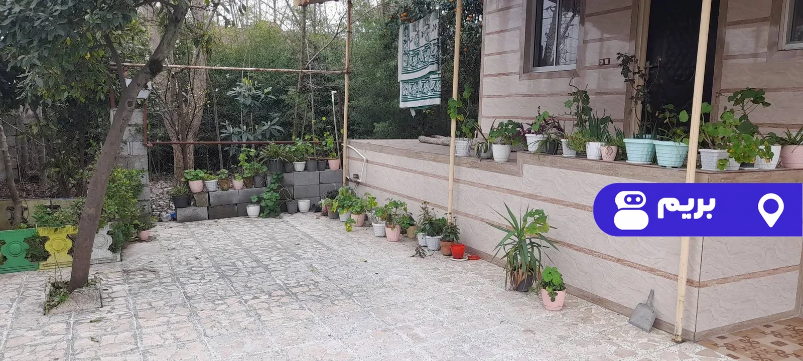 فرخ در رضوانشهر