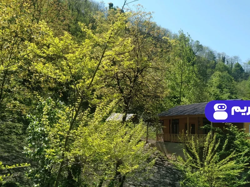 کلبه چوبی جنگلی پناه