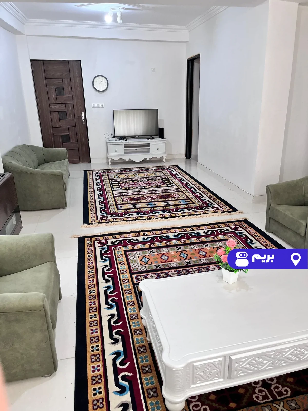 سایناز گلی در شفت