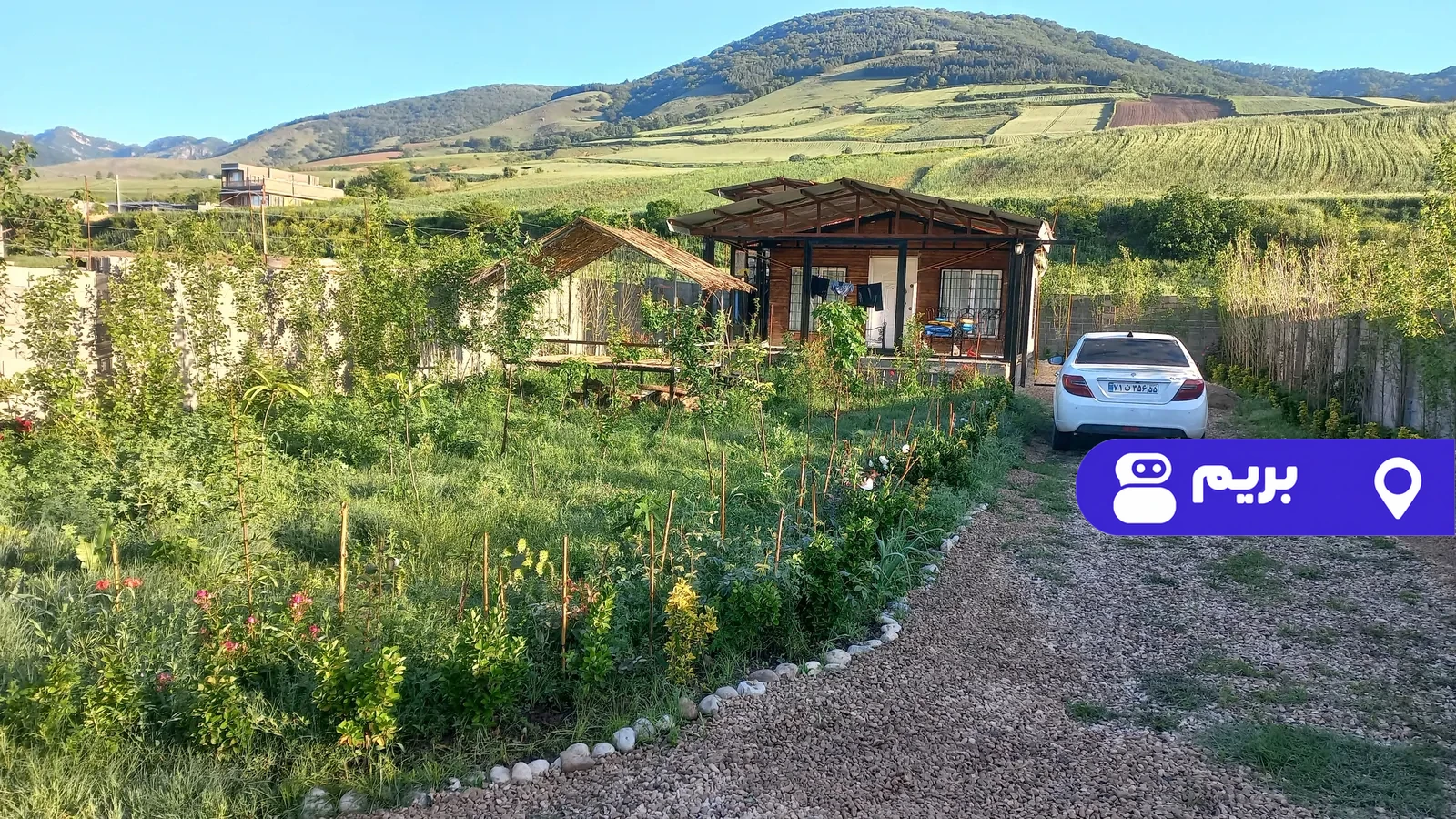 جنگلی آرین در گالیکش
