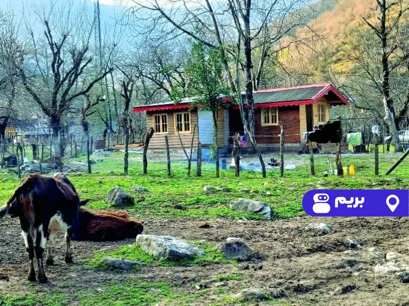 کلبه جنگلی توسکا