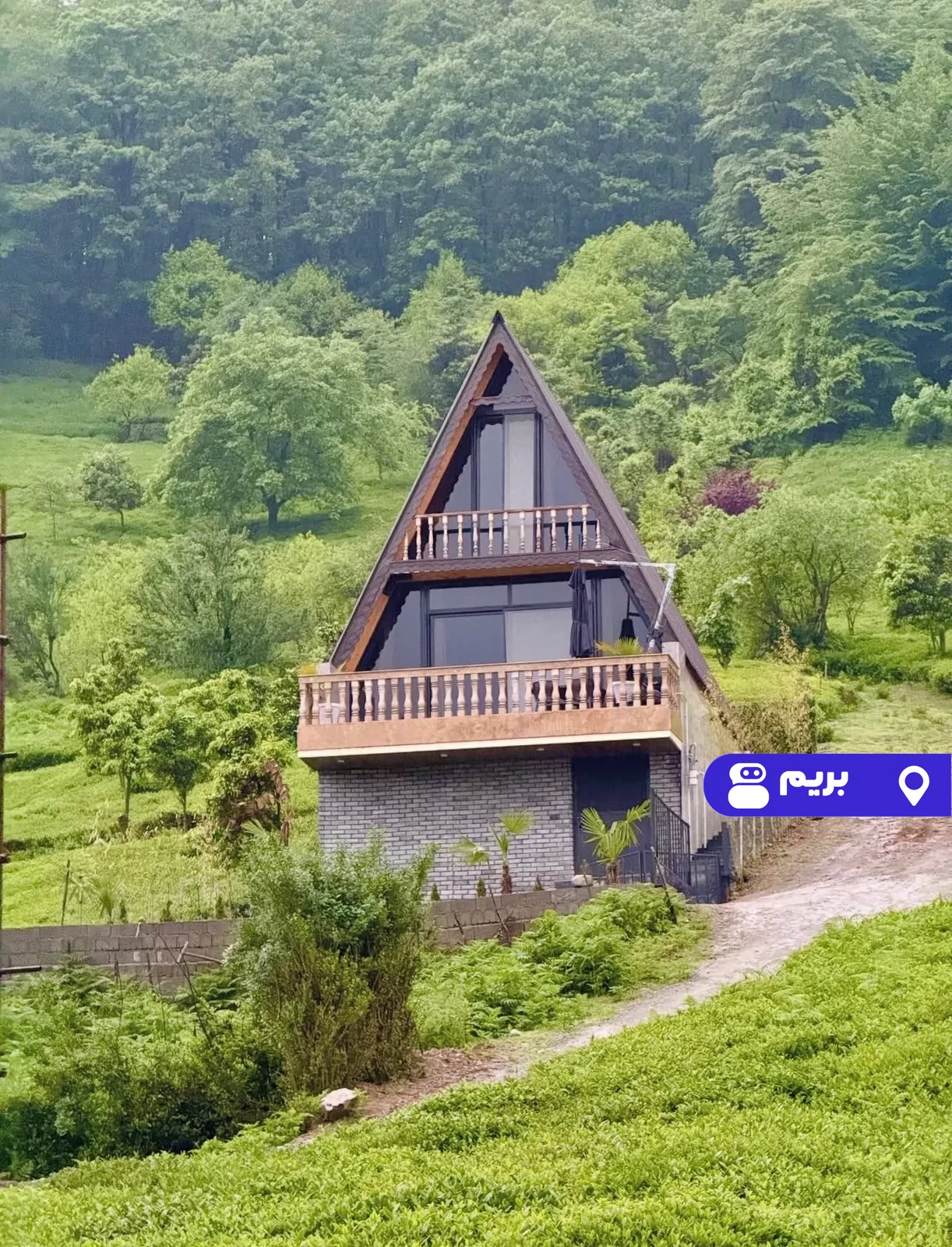 سوئیسی چای در شهسوار