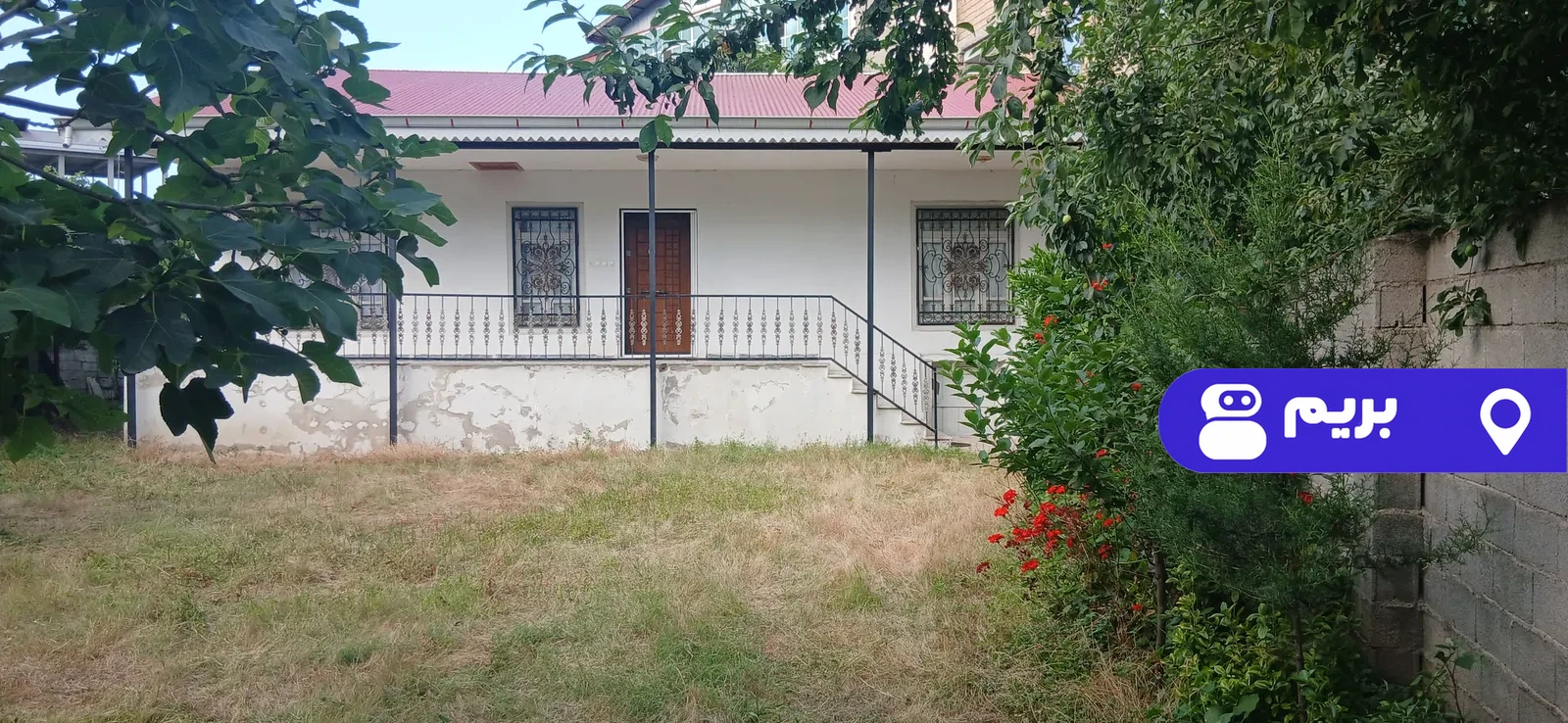 باران در لیسار