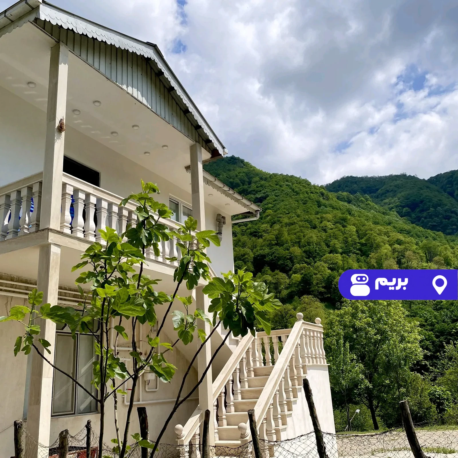 جنگلی دلنشین در آستارا