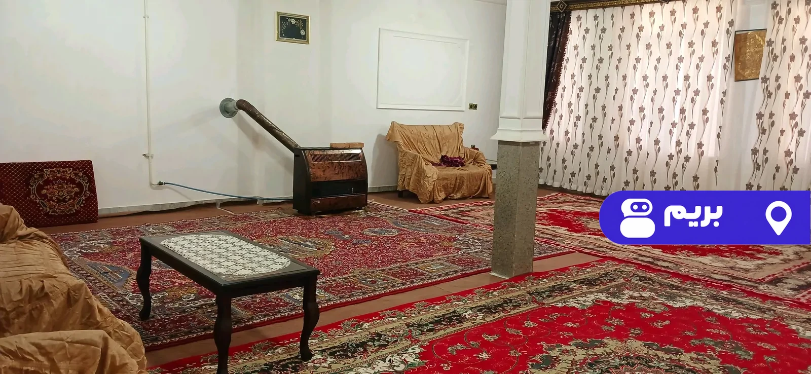 پنگوئن در مشگین شهر