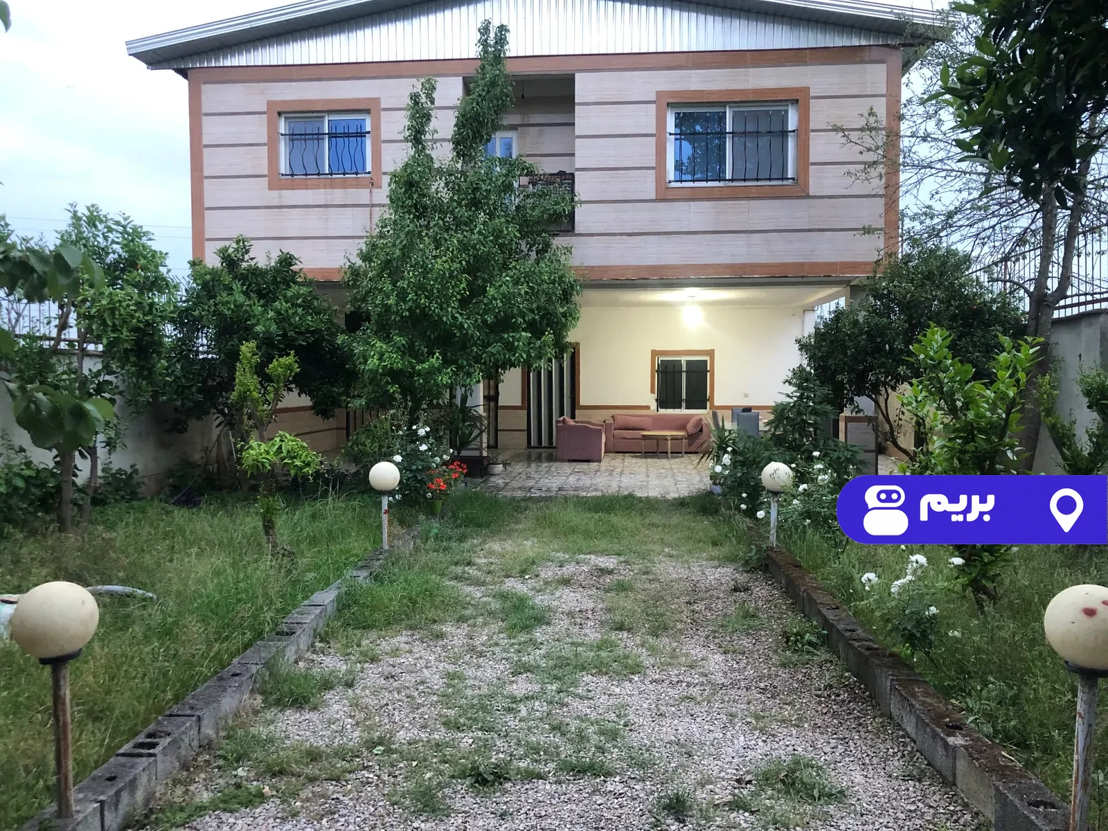 کاج در بابل