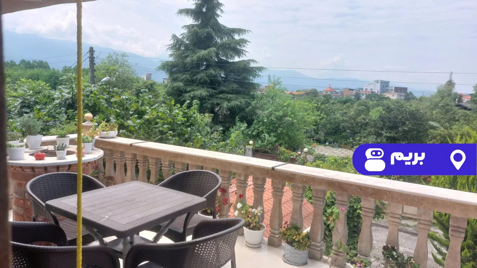 نسترن در عباس آباد
