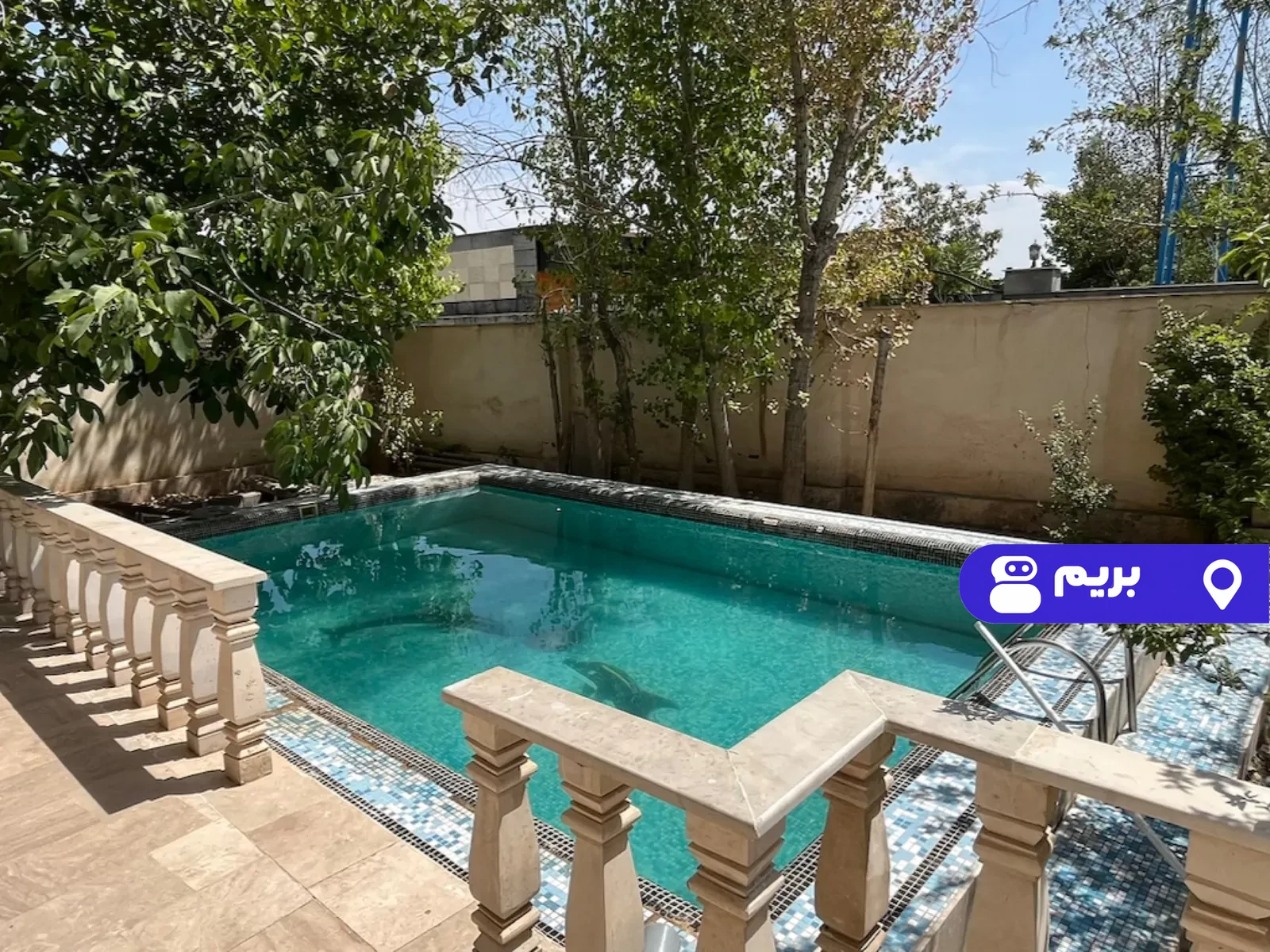 استخردار آبسرد شکوفه فوتبال دستی در چهارباغ