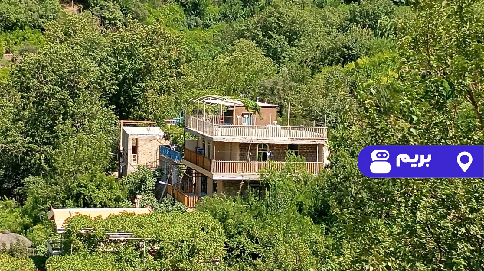 جنگلی طبیعت در پاوه